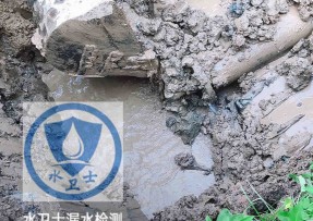 黄冈水管漏水检测公司5